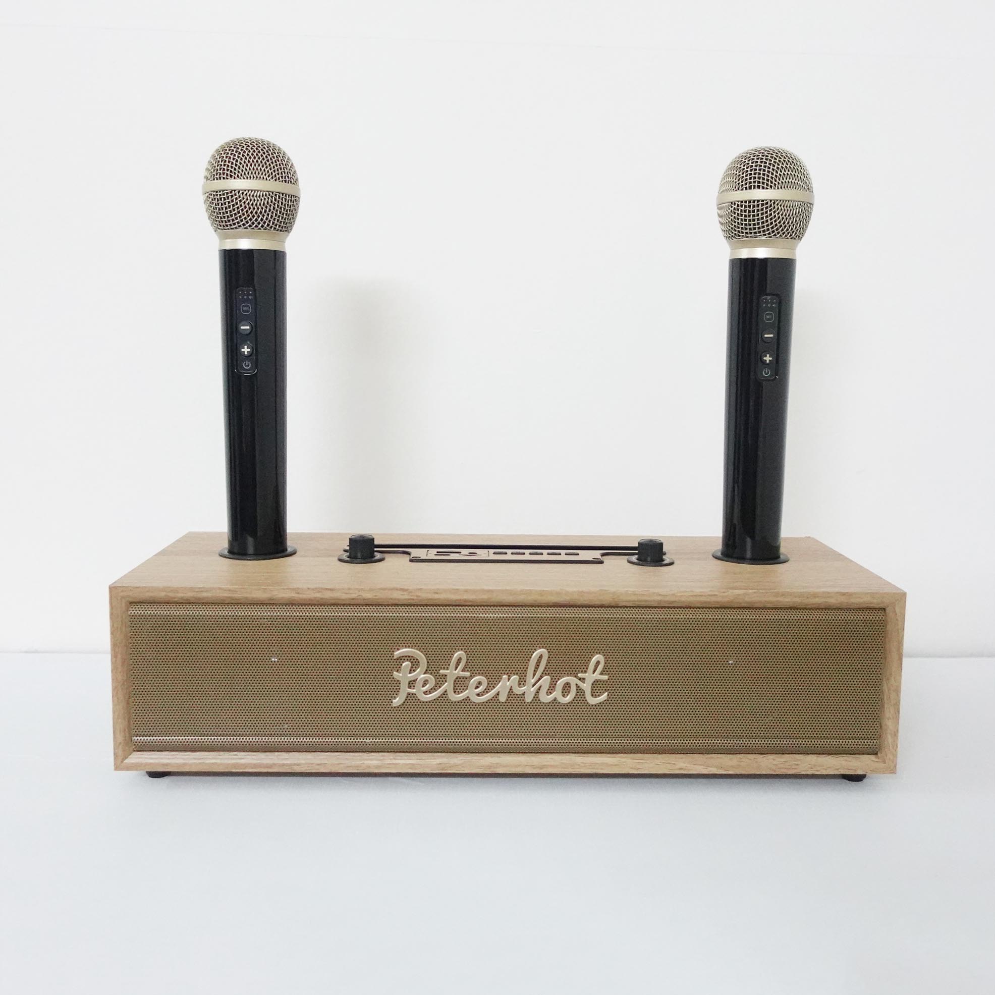 Loa Bluetooth karaoke PETERHOT A100 tặng kèm 2 tay micro không dây
